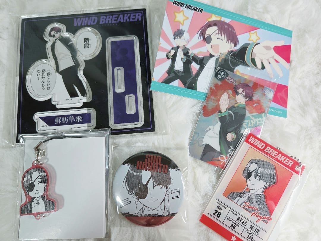 WIND BREAKER 蘇枋隼飛 缶バッジ キーホルダー カード アクスタ