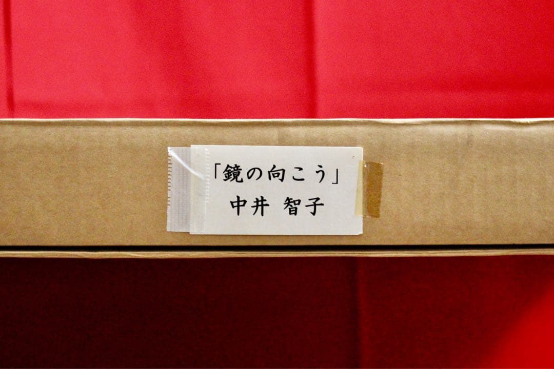花乙女コレクション【中井智子　鏡の向こう】購入金額より60％お値引き！！