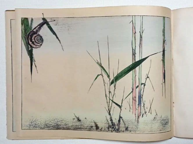 稀省亭版画花鳥画帖12図柄入り渡辺省亭画、明治後期頃芸艸堂出版