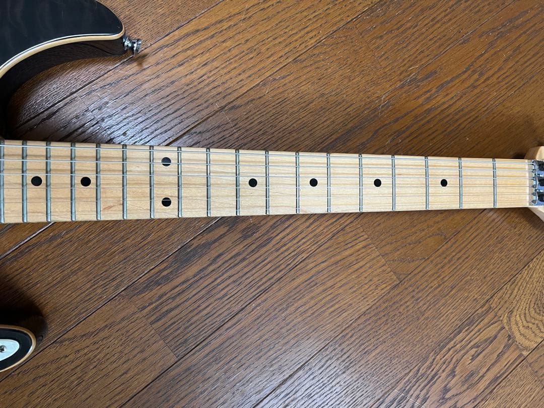 SCHECTER SD-2-24 アッシュバック セイモアダンカン