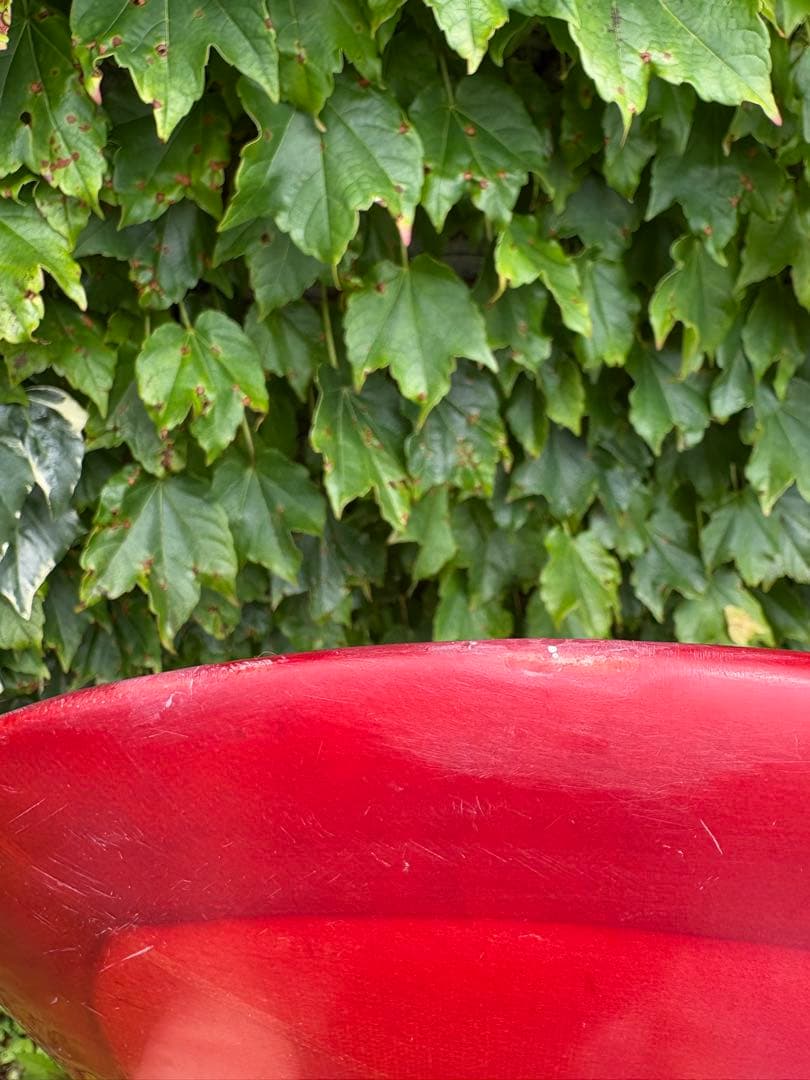 サーフィン・ボディボード YU SURF Classic Double ender 6feet