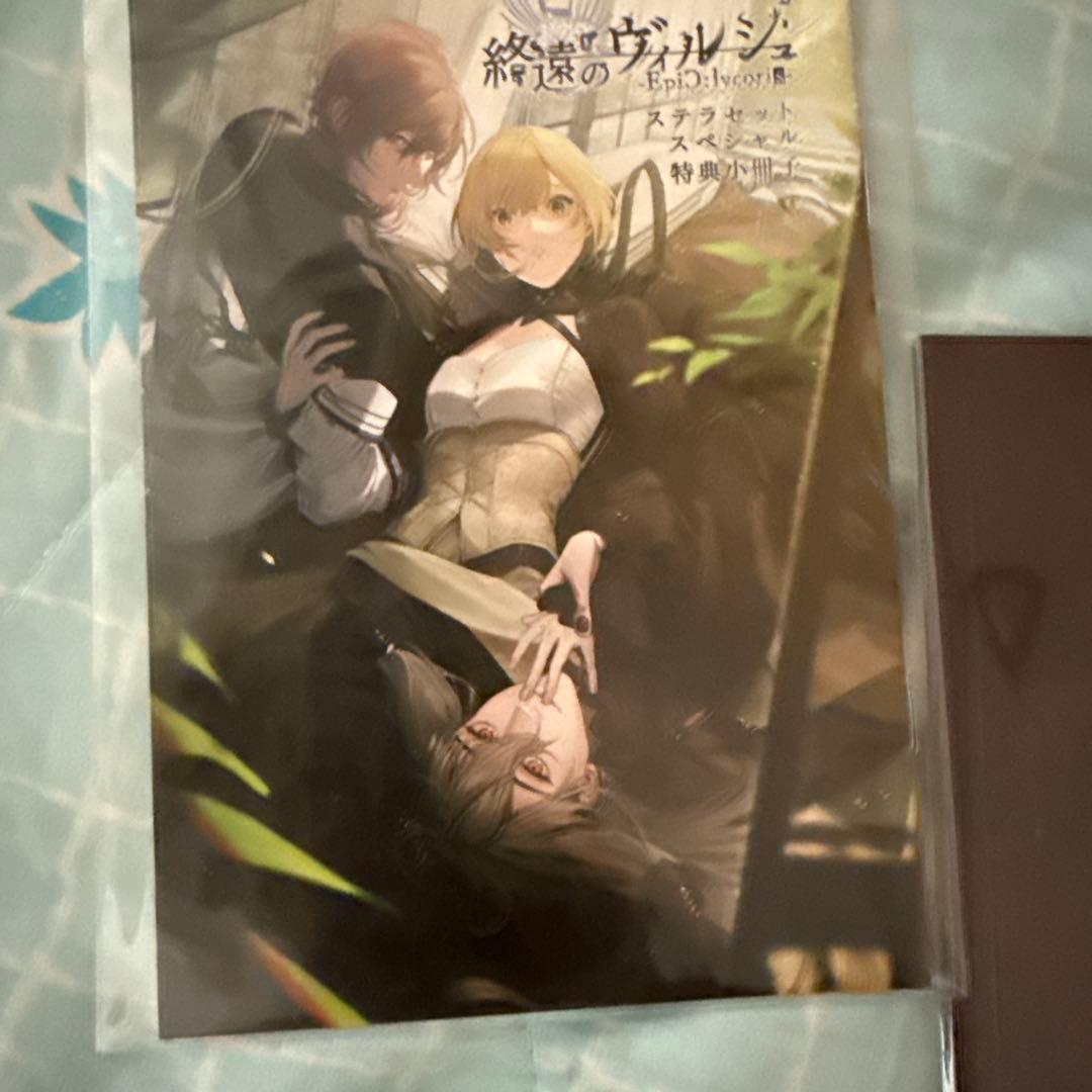 終遠のヴィルシュ 小冊子 特典