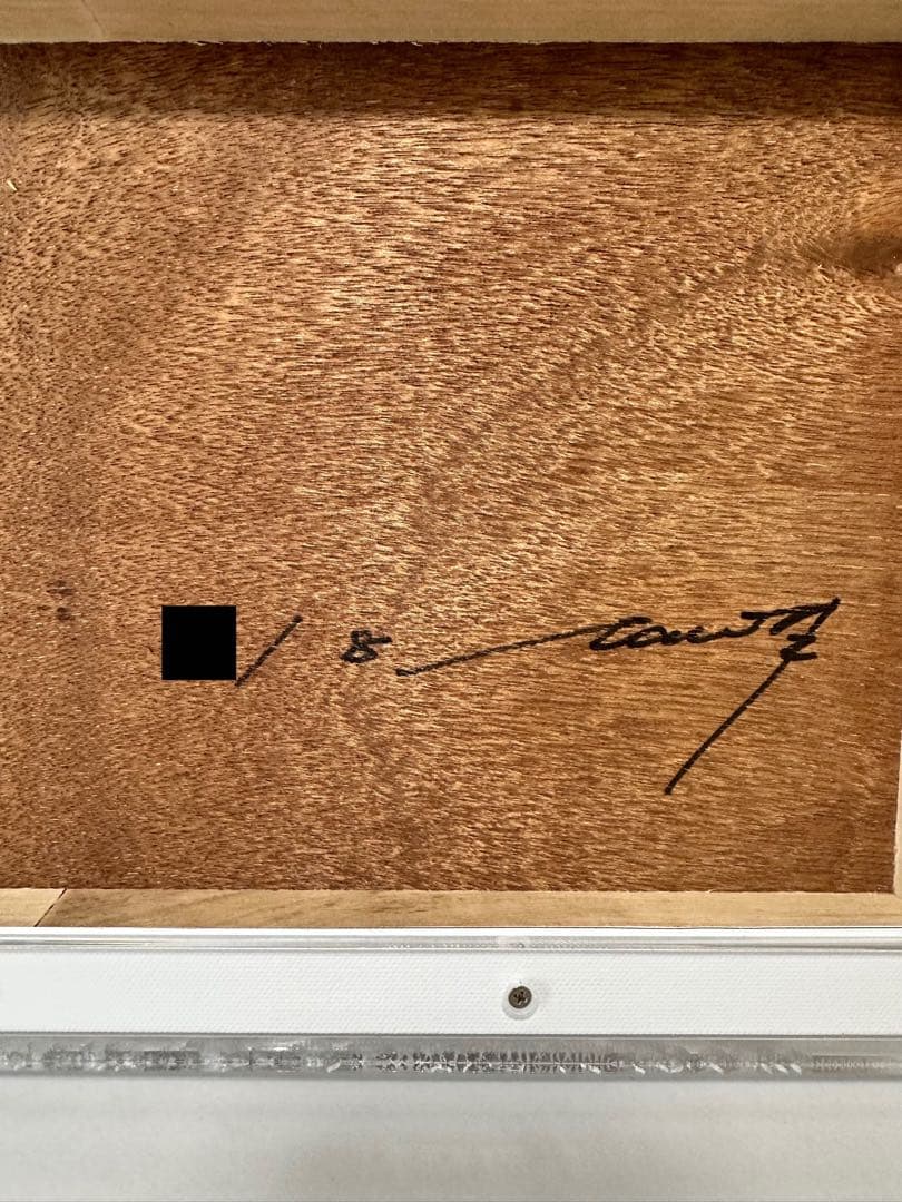 tamimoon Q キャンバス・UVプリント エディション 8