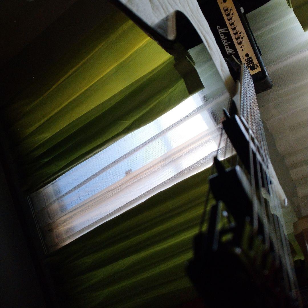 FERNANDES TEJ STD-2S 19 BLK 不定期出品