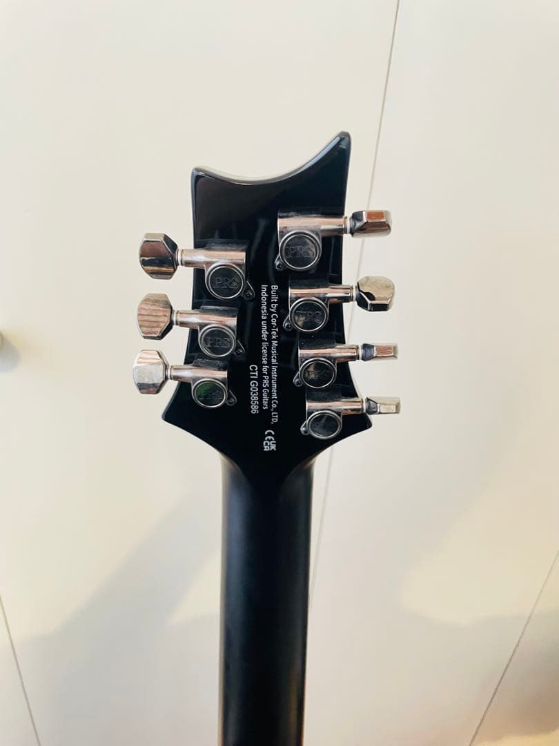 ギター SE MARK HOLCOMB SVN