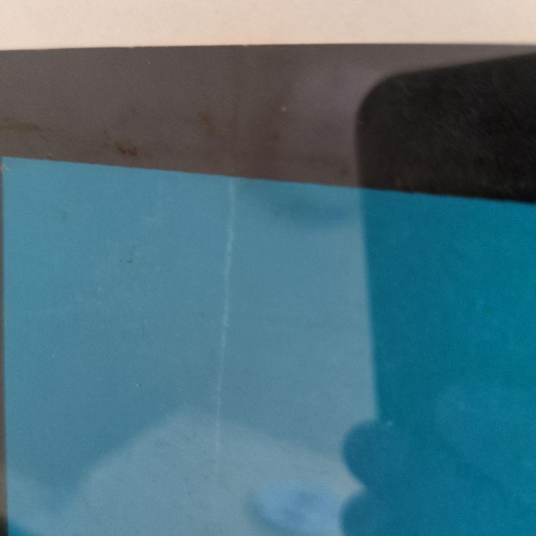 taz L7 melvins wool シルクスクリーンポスター