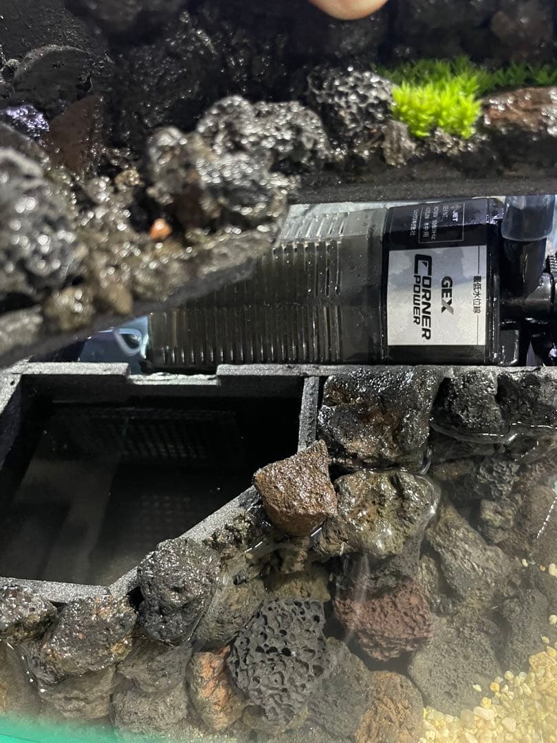 アクアテラリウム　　溶岩石　No.3　※傷あり特価※