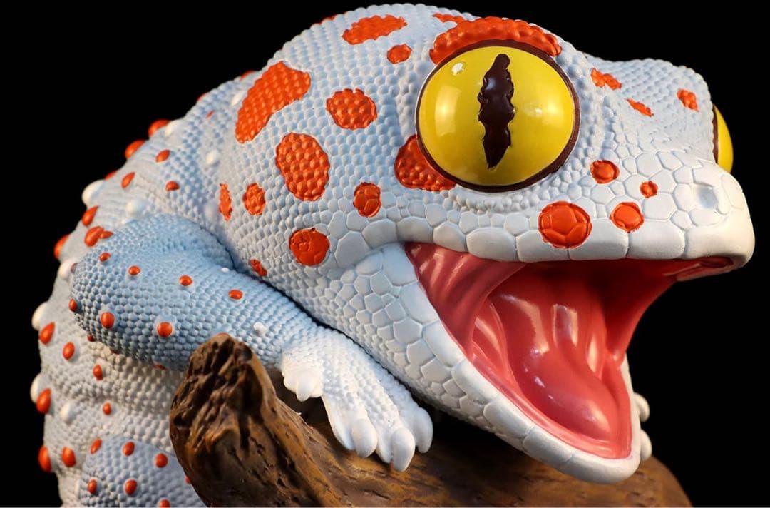 恵*)様 博物志　トッケイヤモリ　BIGフィギュア