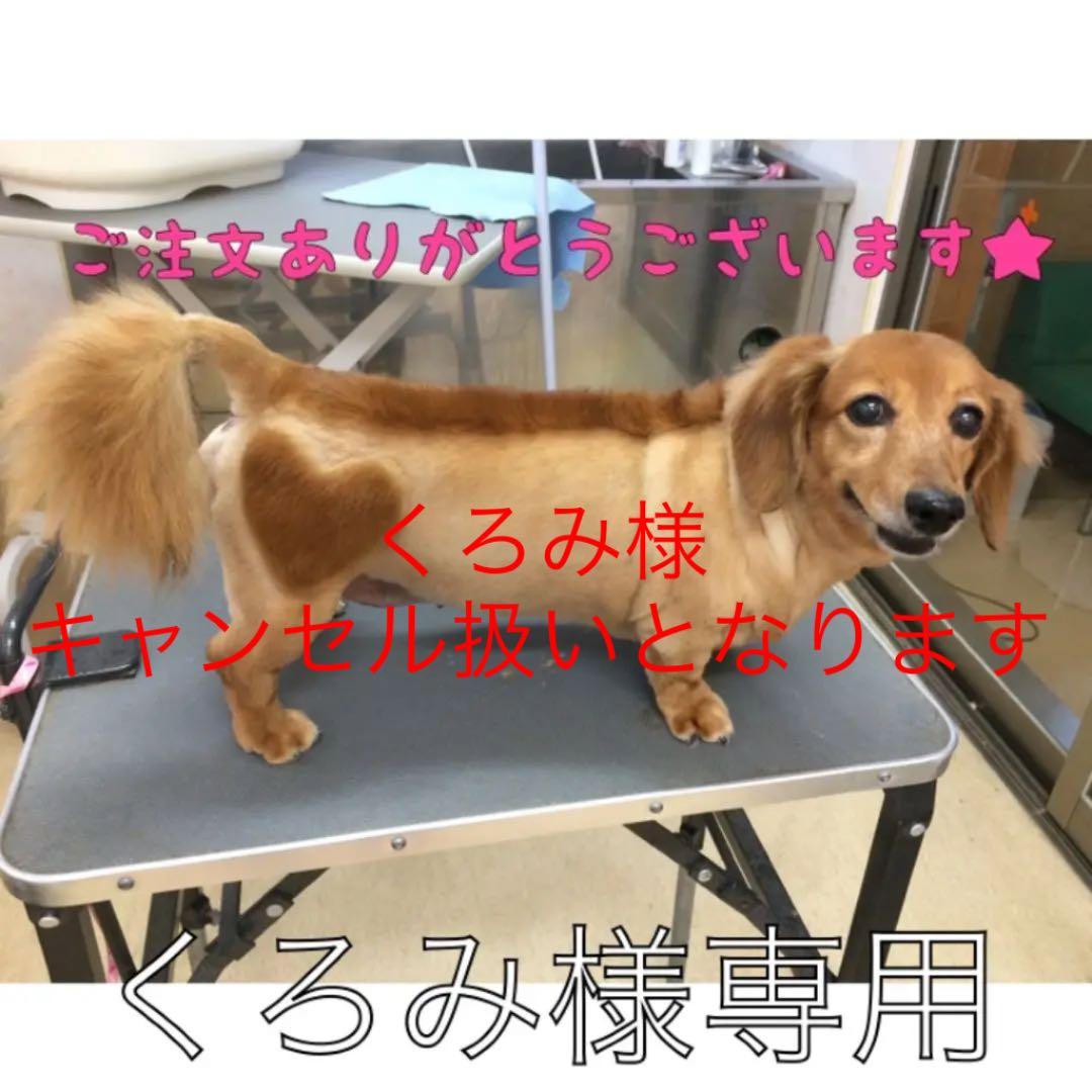 くろみ様✩ 専用