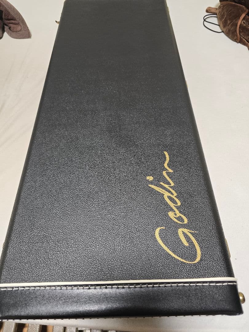 ギター Godin black knight ec