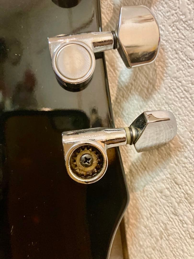 ☆ねこ☆ GrassRoots G-I-48LP 唯一無二の改造ギター