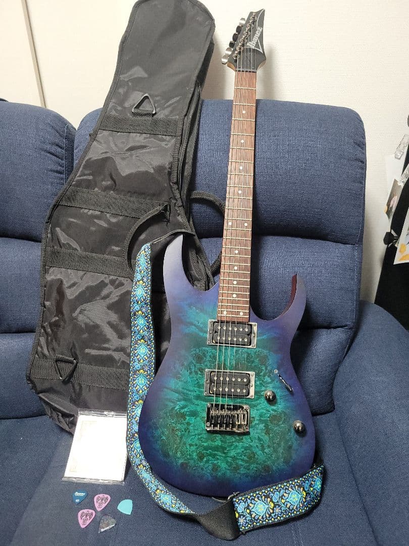 アイバニーズ　Ibanez RG421PB　動作品　おまけ盛り沢山