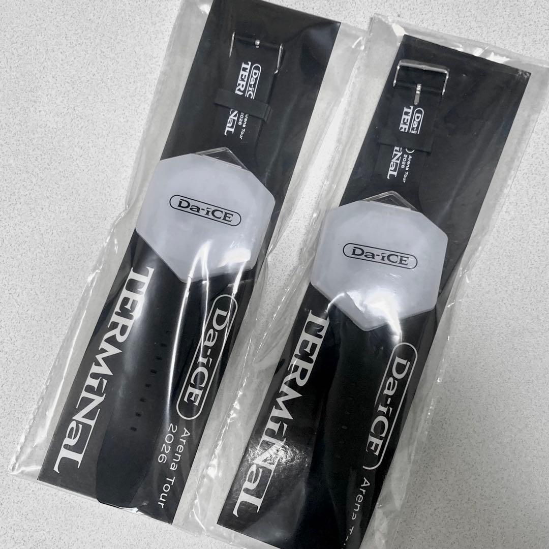 Da-iCE TERMiNaL ペンライト(ブレスレットライト)2個セット