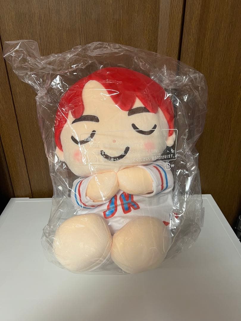 Tinytan V テヒョン JUNGKOOK ジョングク ぬいぐるみ BTS