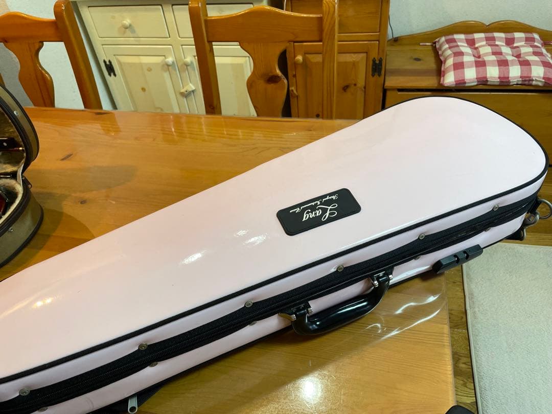 LANG バイオリンケース