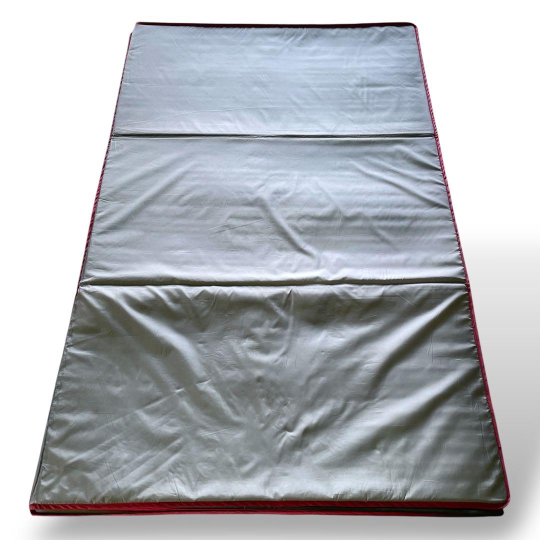 【 peak】 リビングシートフロアマット/TM-120/TM-115