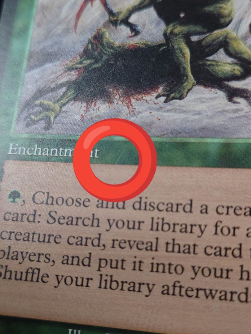 適者生存 エンチャント マジック・ザ・ギャザリング 英語 MTG