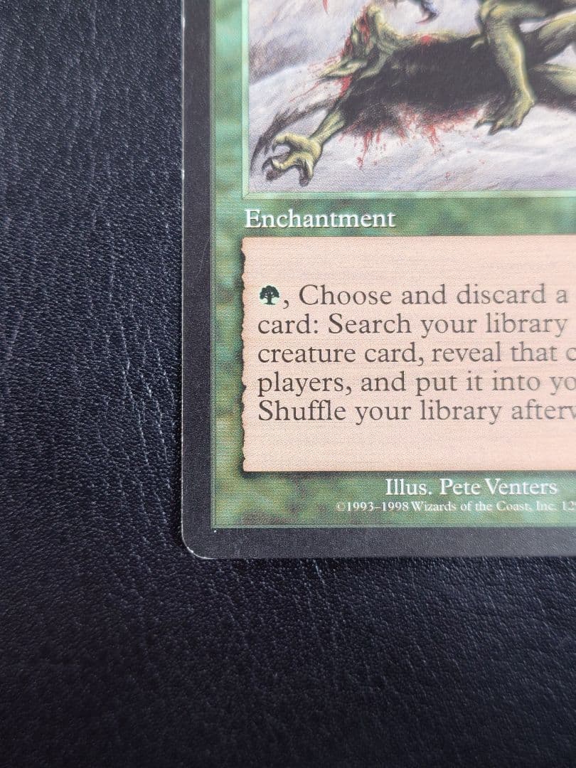 適者生存 エンチャント マジック・ザ・ギャザリング 英語 MTG