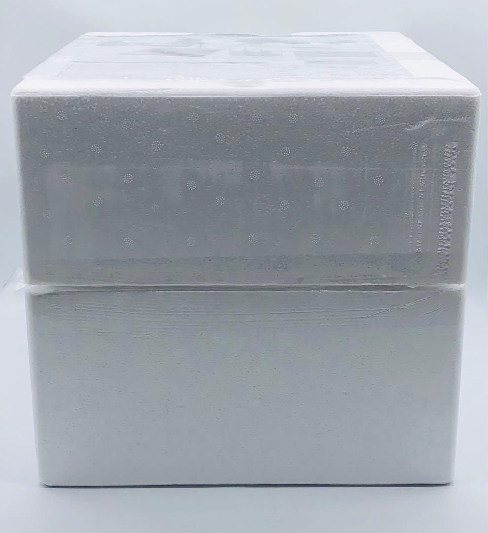 リアルマスターコレクション 酒井ゆうじ ゴジラ(2004) ポスター 少年リック