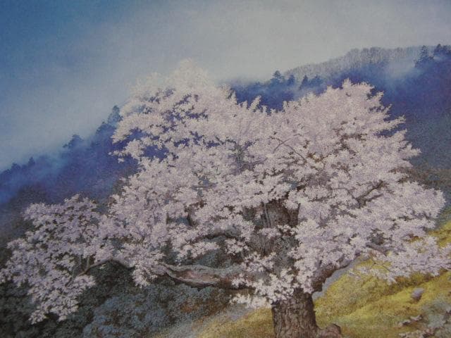 田中芳照、仙桜雨景、希少な画集より、新品高級額、額装付、状態良好