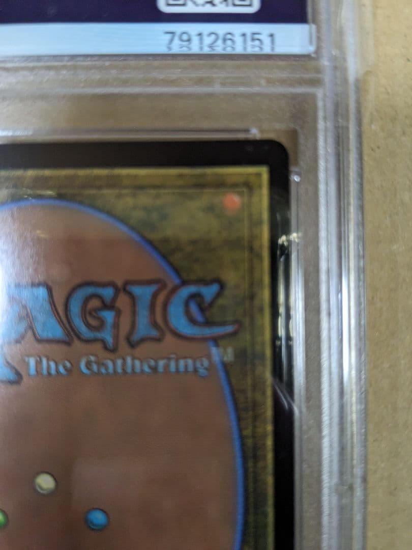 放浪皇　pwcs psa10