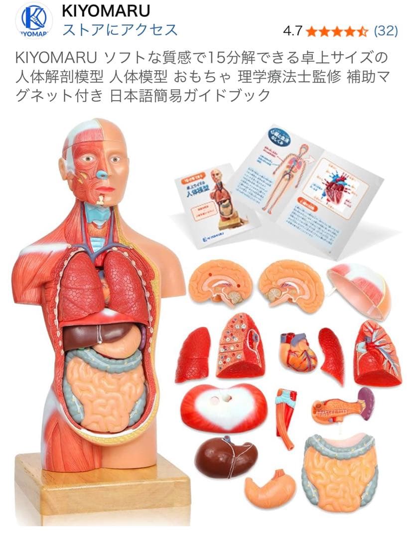 KIYOMARU ソフトな質感で15分解できる卓上サイズの人体解剖模型