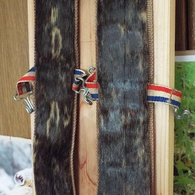 超希少_美品_アザラシ本革シール_山スキー用_補強有
