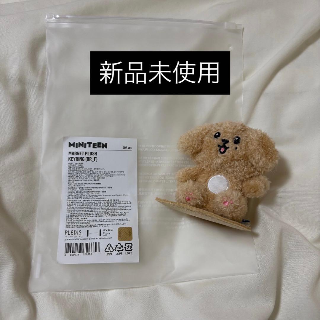 SEVENTEEN セブチ ドギョム DOA ドア マグネットキーリング