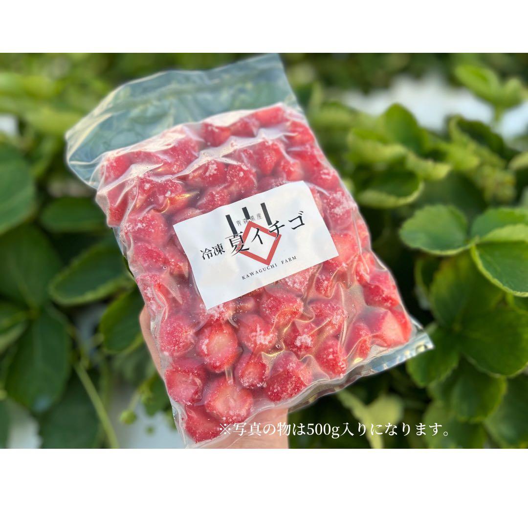 【減農薬】青森県産　冷凍　夏イチゴ　冷凍イチゴ　かき氷　10キロ　業務用