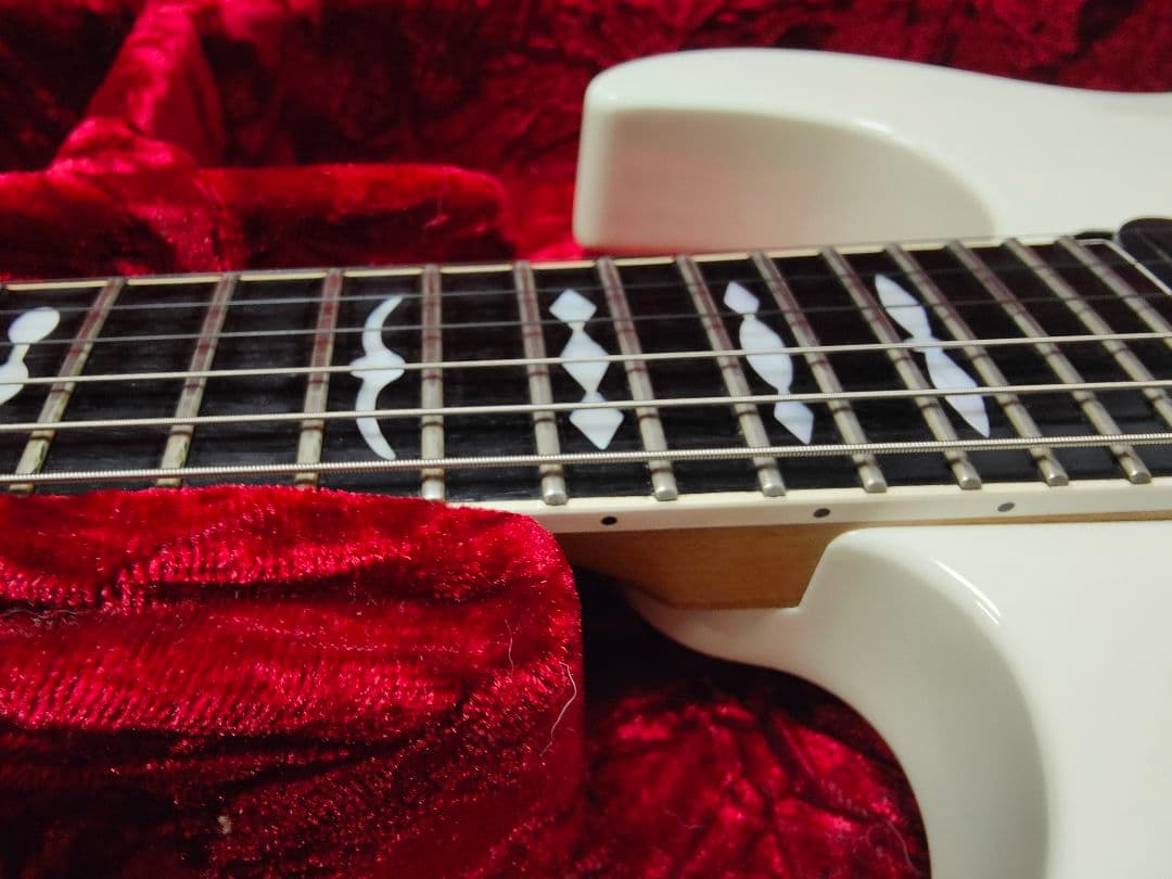 CAPARISON DELIINGER CA クリストファーアモットモデル