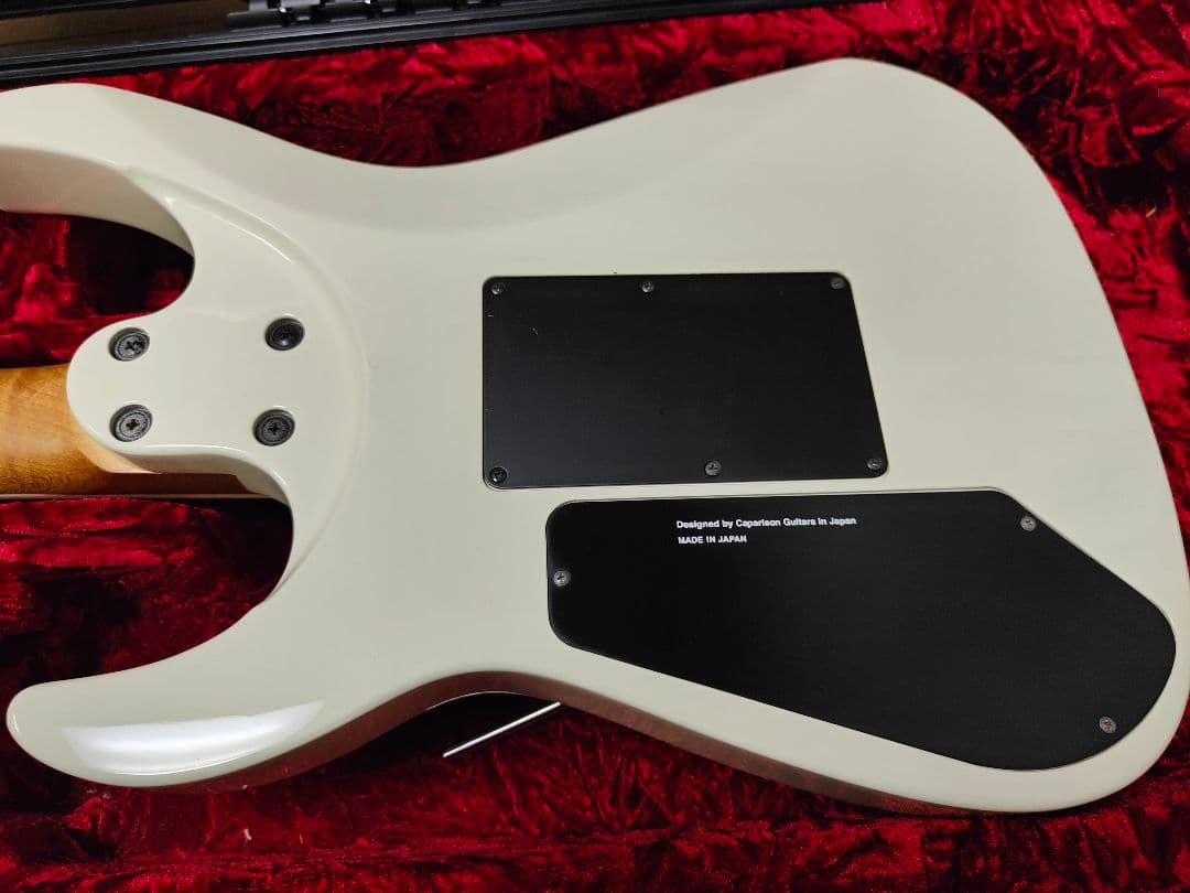 CAPARISON DELIINGER CA クリストファーアモットモデル