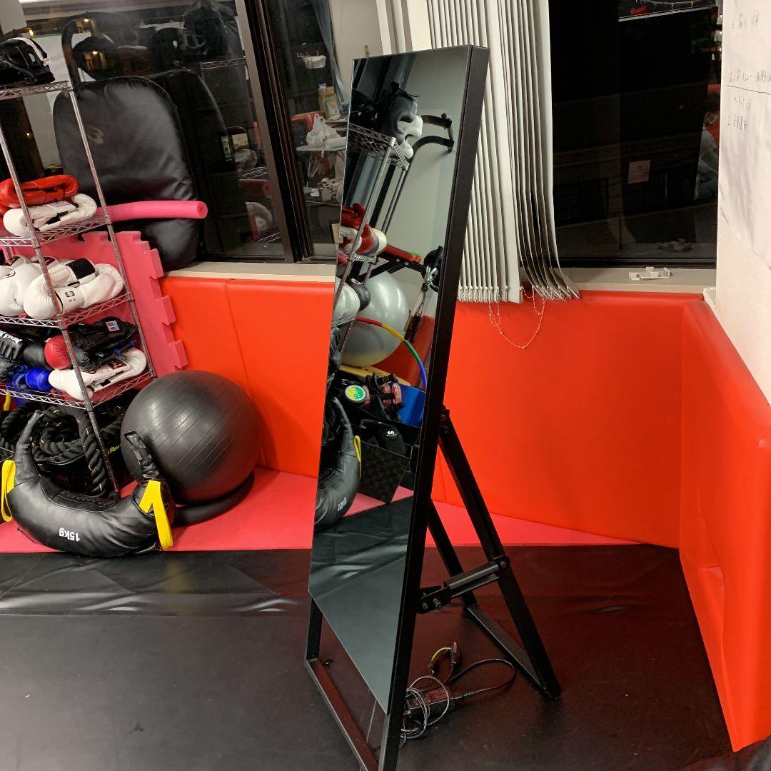 ヘルスピットフィットネスミラー　TE 630