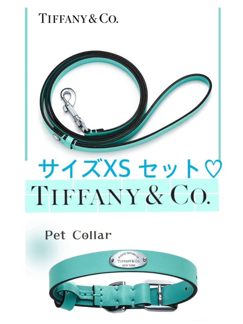 Tiffany & Co. ティファニー 首輪 カラー リード　セット　犬　XS