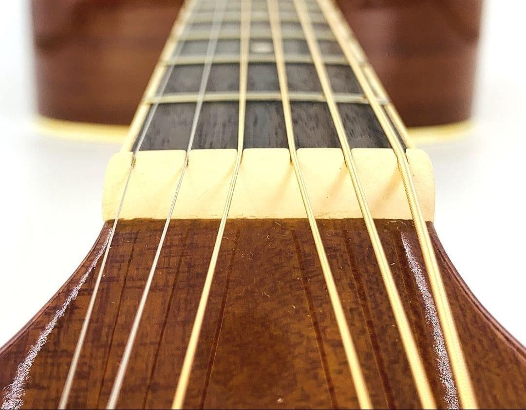 Legend by Aria WG-15 CSアコースティックギター【整備品】