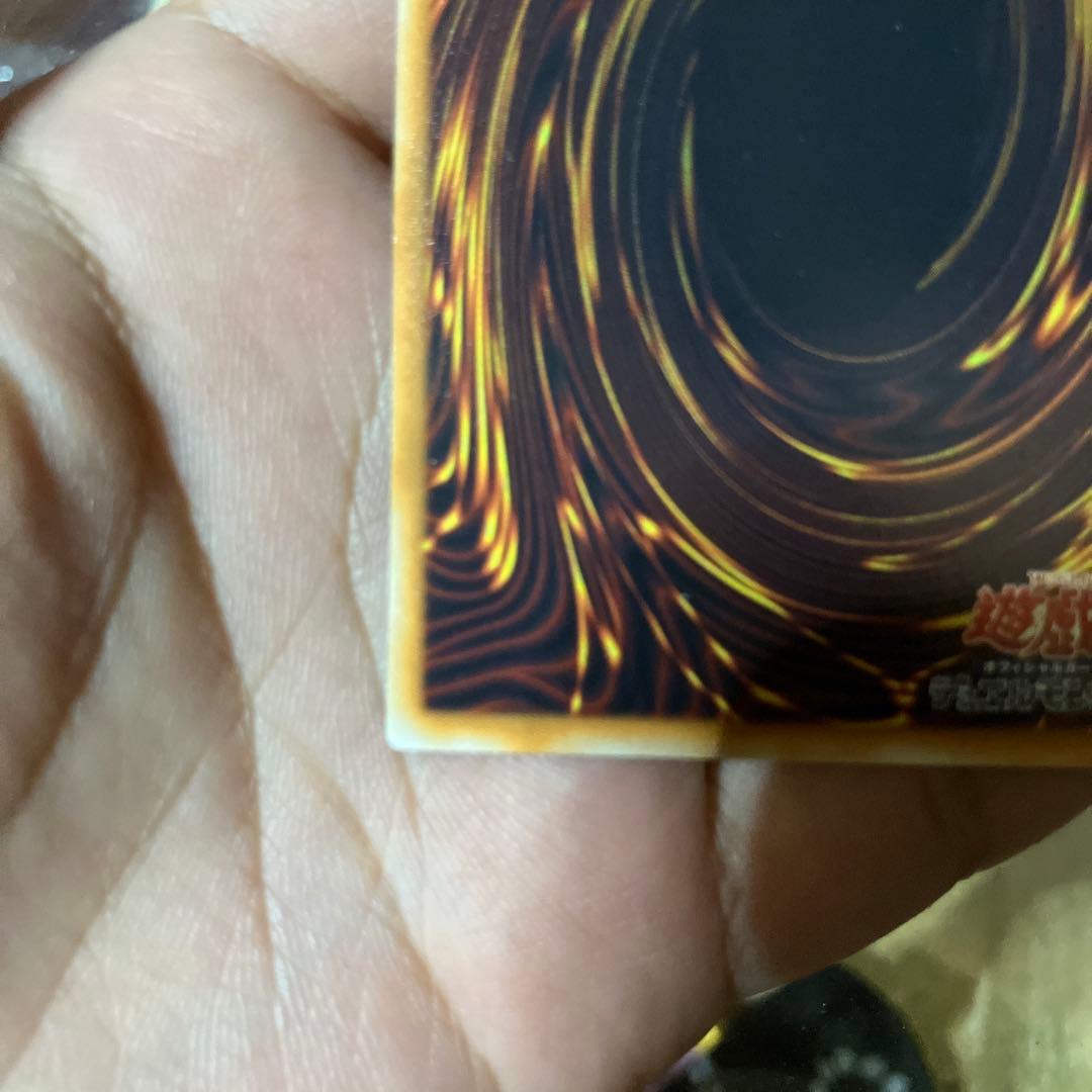 スターゲスト・ドラゴン ホロレア