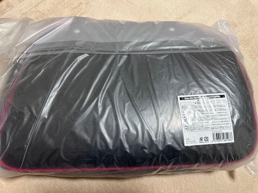 【新品未開封】Stray Kids ボストンバッグ エコパ