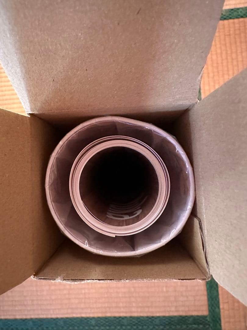 小日向ゆか 等身大ポスター2枚セット アサ芸シークレット 有村架純似