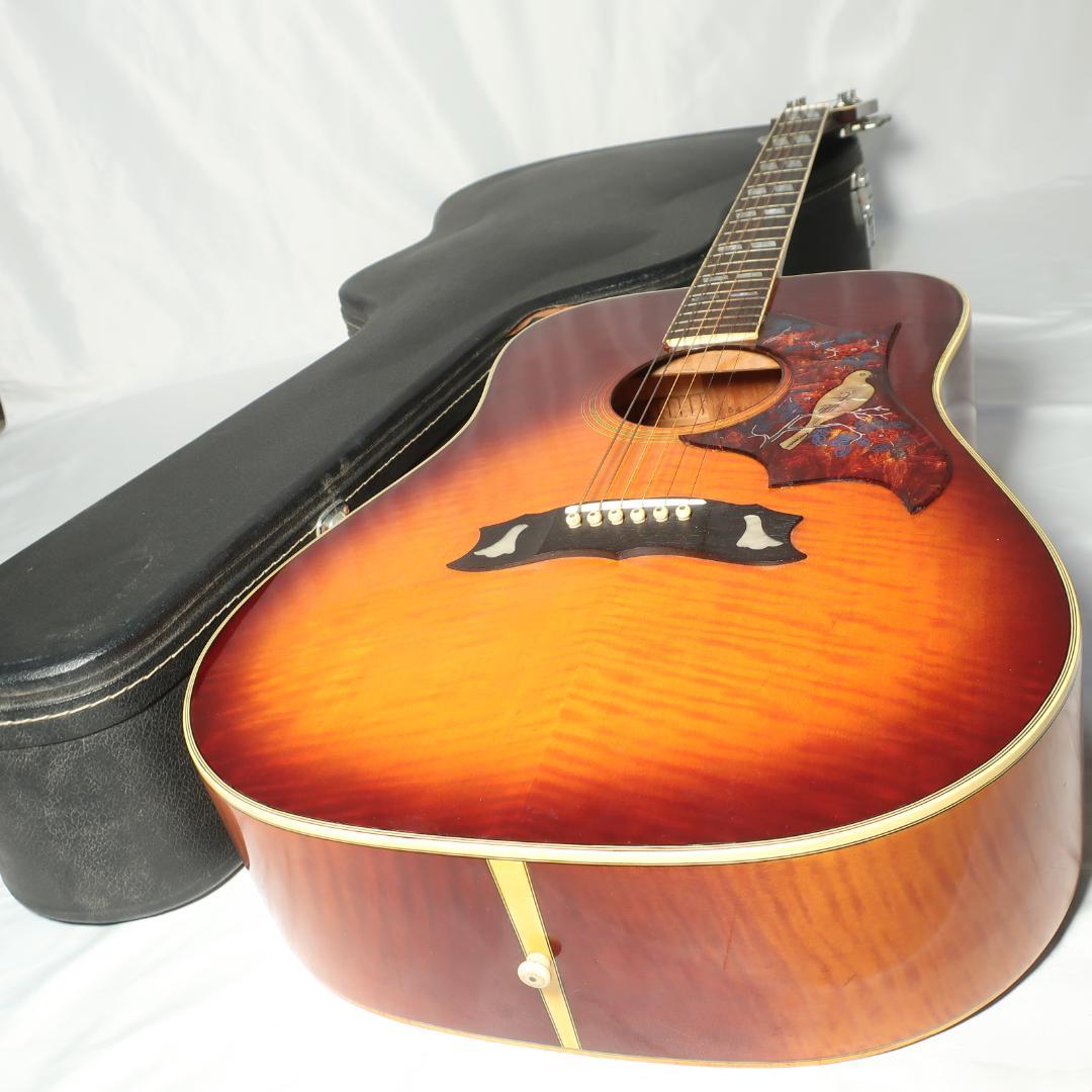 JAGARD TB-350 ギター ハミングバードDOVEタイプ ハードケース付