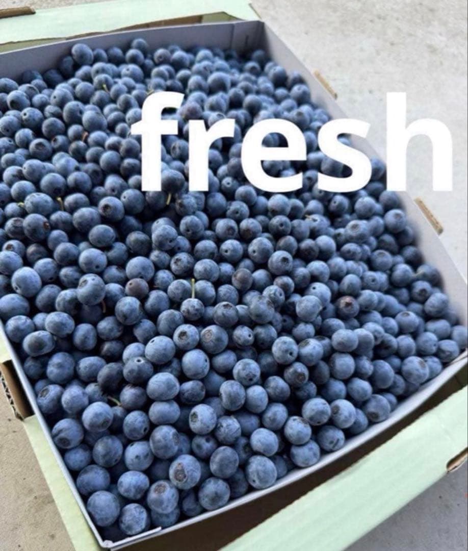 ハニー農園　冷凍ブルーベリー 3000g