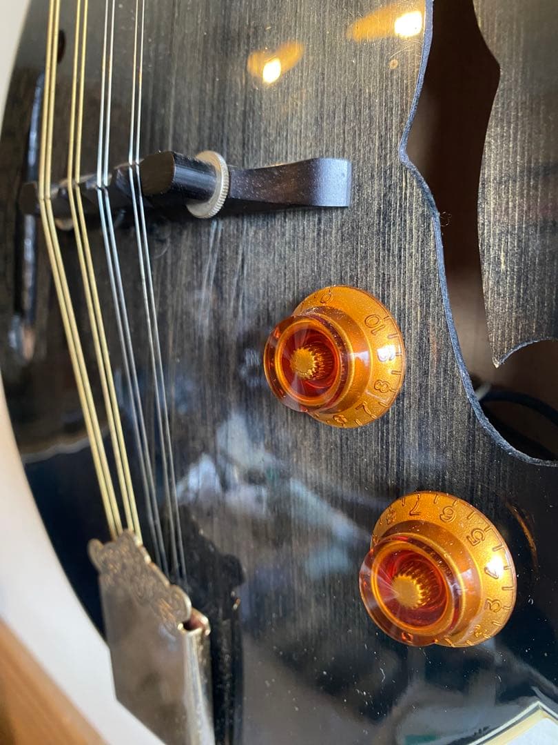 StaffordスタッフォードF-Style エレクトリック・フラットマンドリン