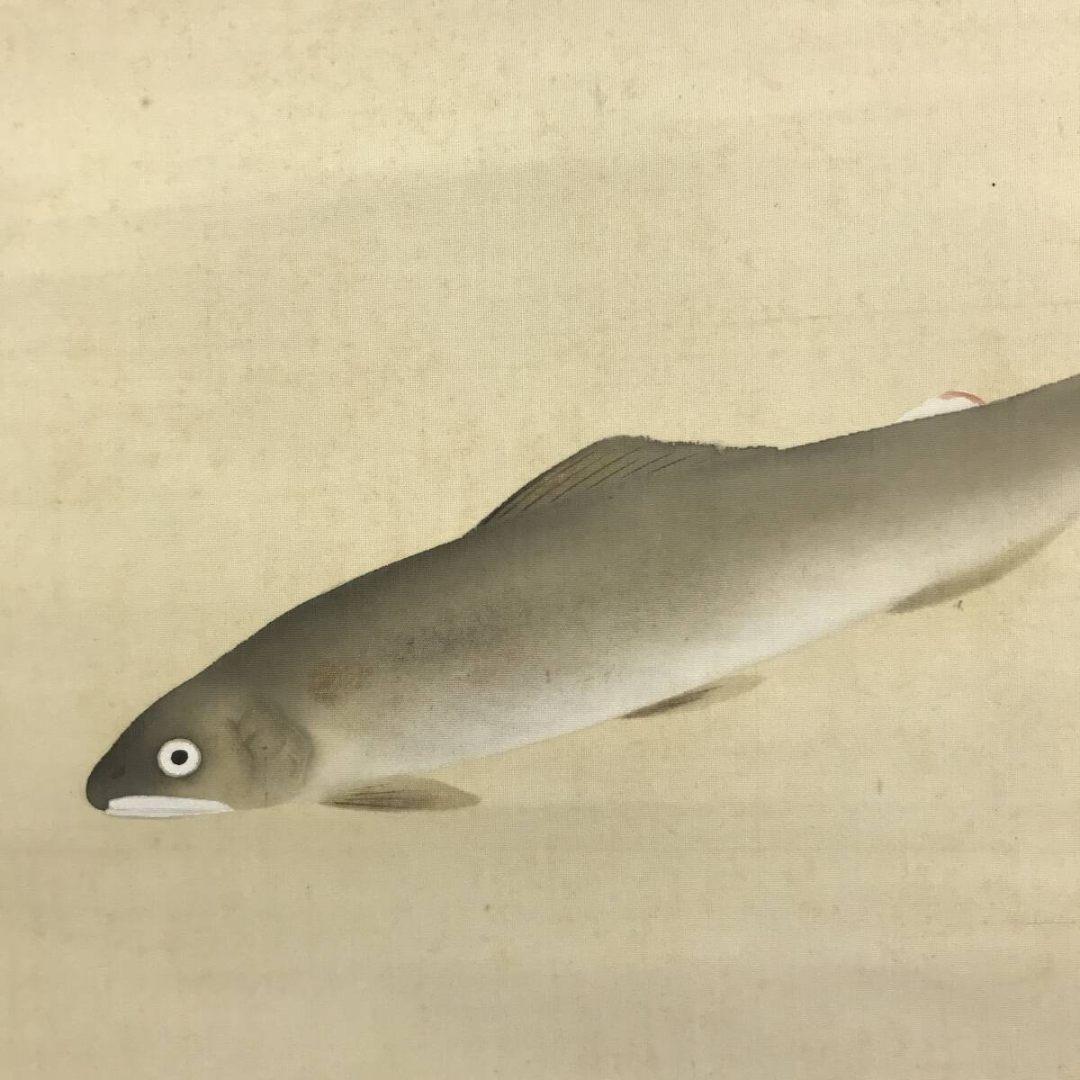 真作/長野草風/群鮎図/花鳥図/魚図/掛軸/名家伝来/AK-866