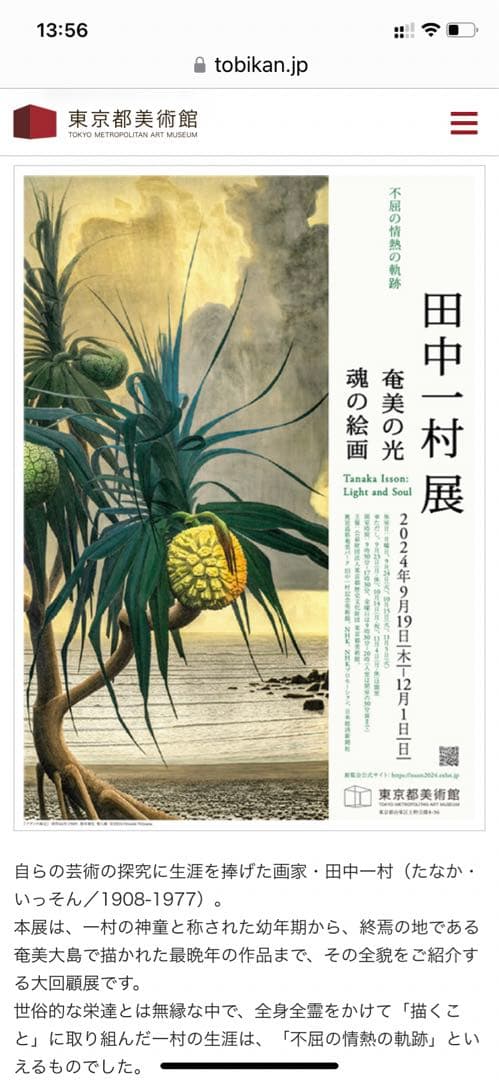 田中一村 アダンの木 日本放送出版協会