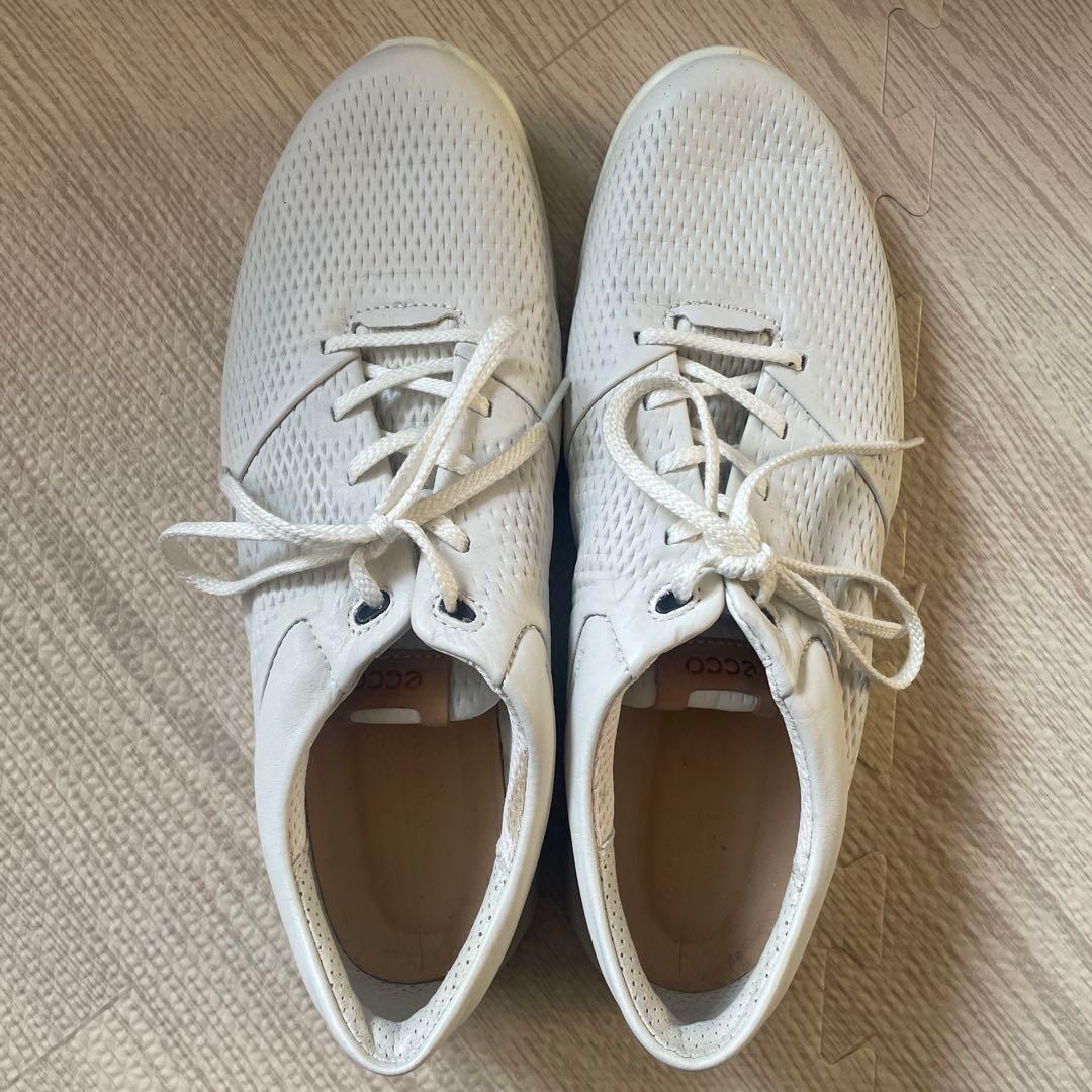 【未使用】24.5cm ECCO ゴルフシューズ ホワイト