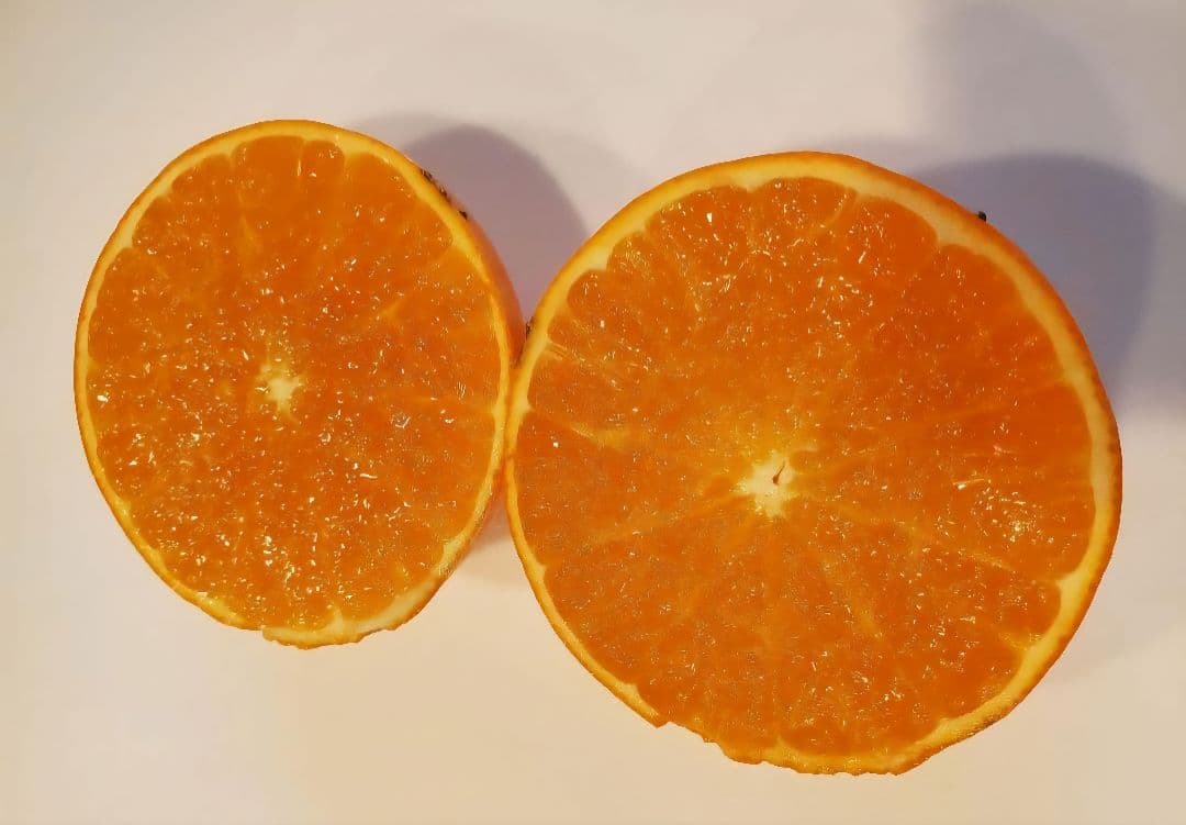 Takahiro　EC込15キロ