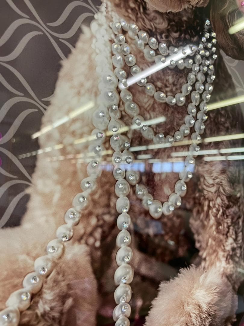 アートパネル　プードル　アート　絵画　絵　ポスター　壁掛け　額縁　キラキラ　犬