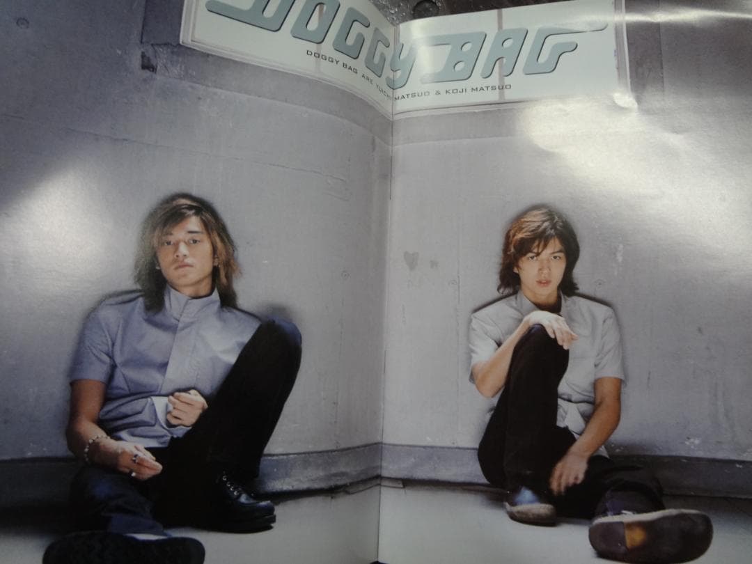 DOGGY BAG●ドギー・バッグ ●写真集・ツアーグッズ・うちわ まとめて