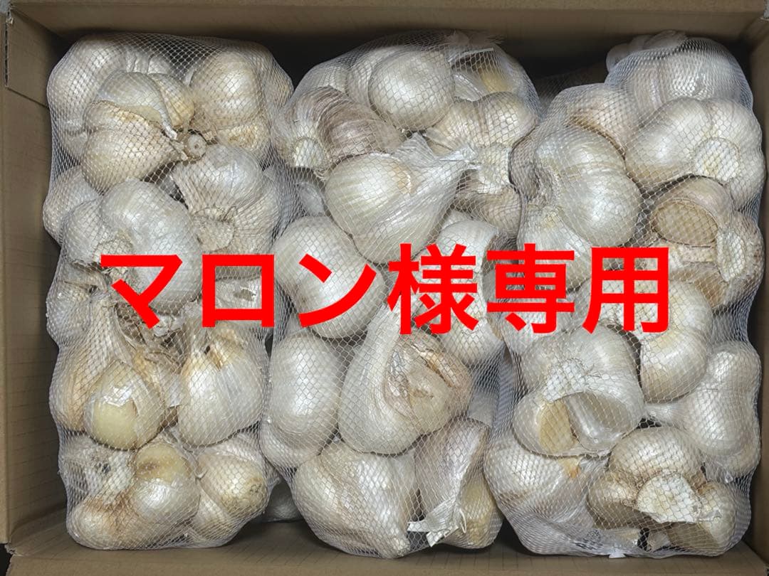 青森県産にんにく　Ｌ　５ｋｇ