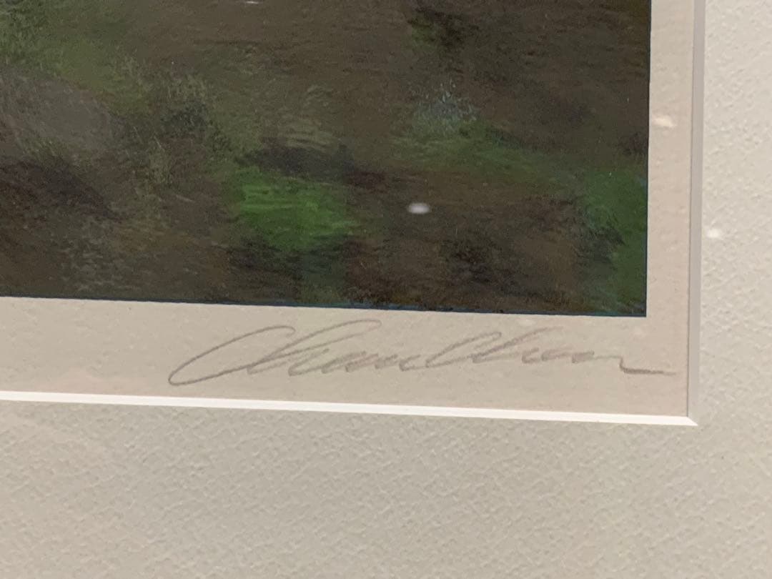 Chase Chen (チェイス・チェン) 直筆サイン入り 絵画‼️