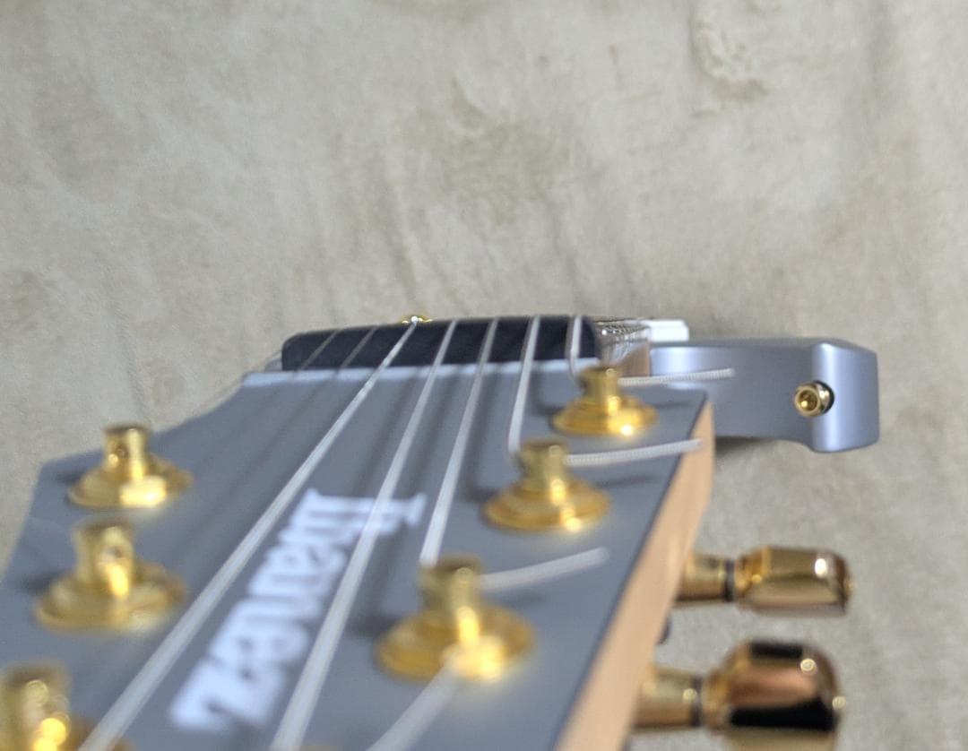 ギター Ibanez / RGDMS8 CSM