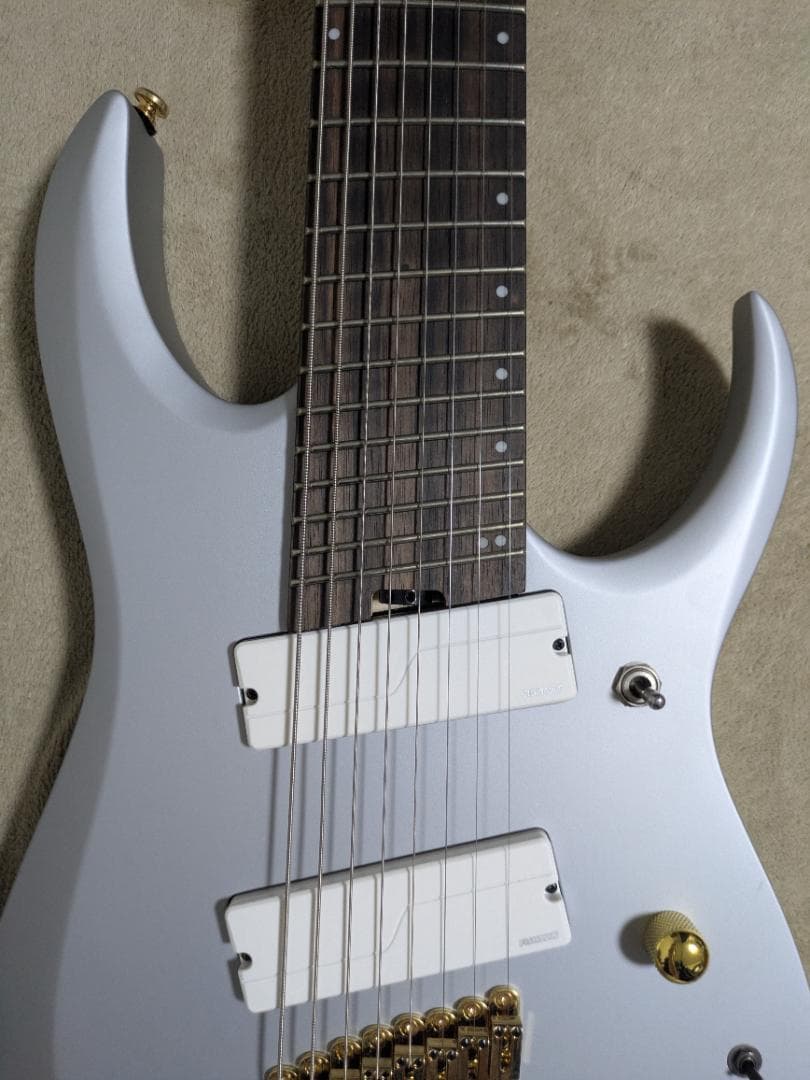 ギター Ibanez / RGDMS8 CSM
